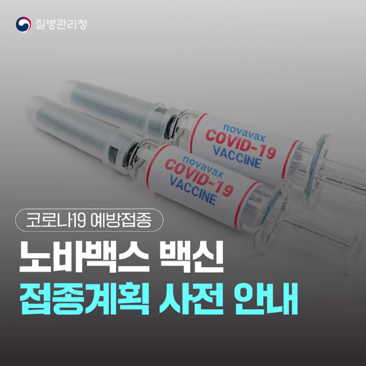 홍성군, 미접종자 대상 노바백스 백신 접종 시작 < 사회/경제 < 뉴스 < 기사본문 - 홍주포커스